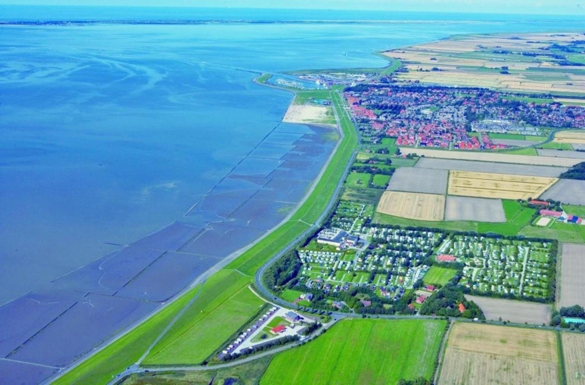 נורדן Kleine Nordseewelle Ohne Hund מראה חיצוני תמונה